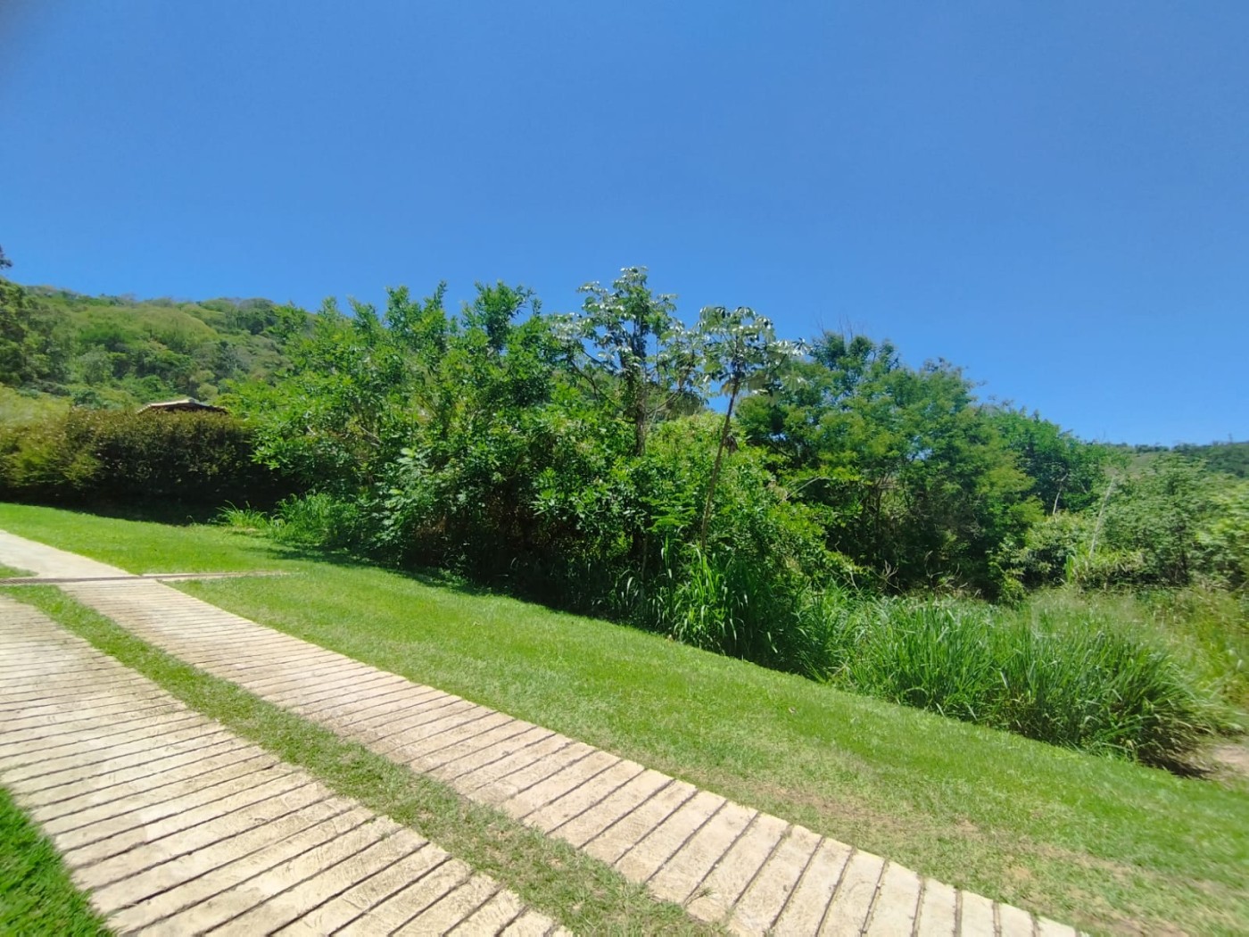 Terreno Residencial à venda em Agriões, Areal - RJ - Foto 8