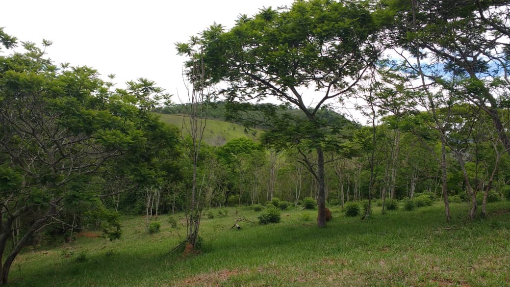 Outros à venda em Posse, Petrópolis - RJ - Foto 28