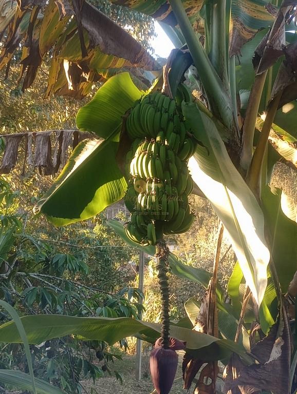 Casa à venda em Albuquerque, Teresópolis - RJ - Foto 38