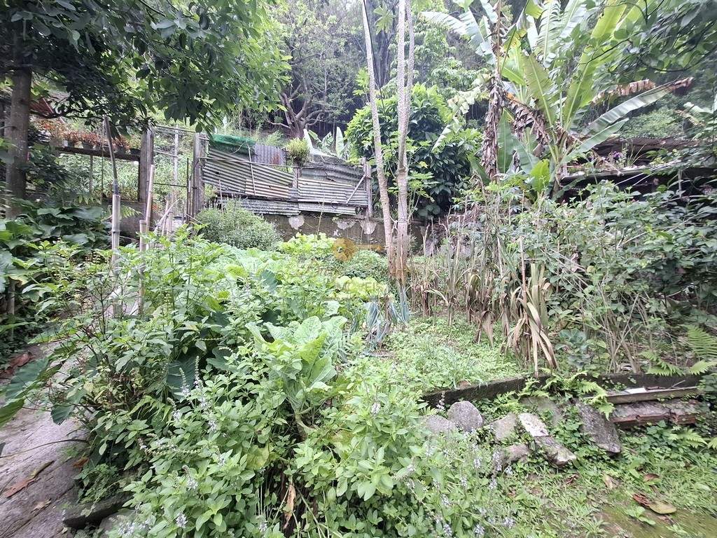 Casa à venda em Barra do Imbuí, Teresópolis - RJ - Foto 21