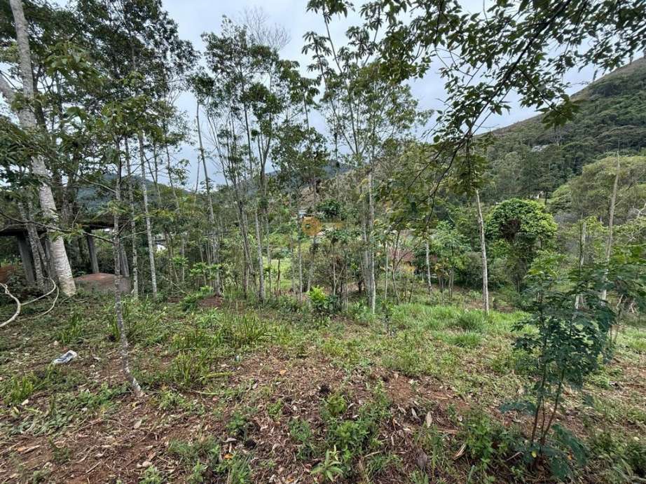 Terreno Residencial à venda em Vargem Grande, Teresópolis - RJ - Foto 2