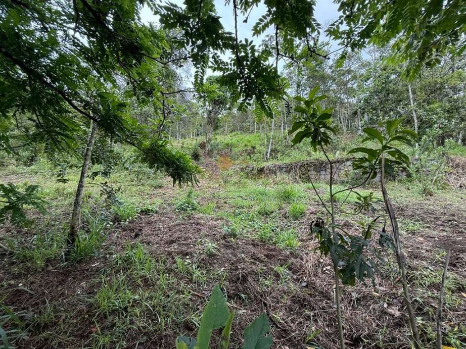 Terreno Residencial à venda em Vargem Grande, Teresópolis - RJ