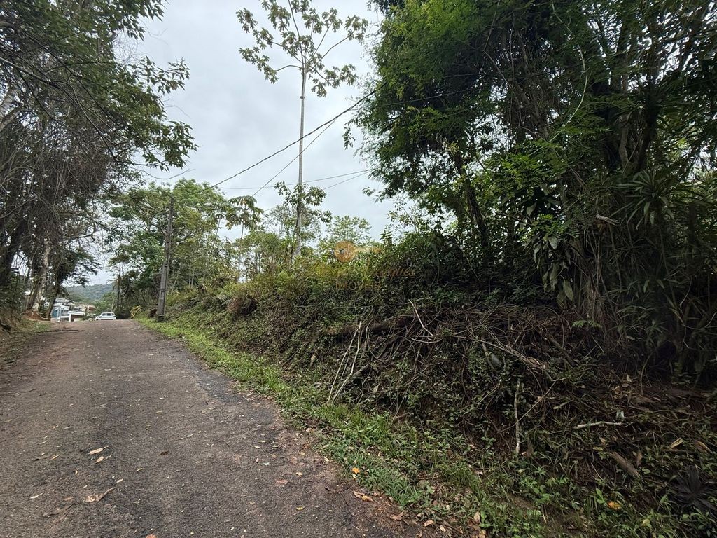 Terreno Residencial à venda em Vargem Grande, Teresópolis - RJ - Foto 6