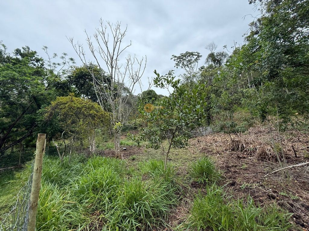 Terreno Residencial à venda em Vargem Grande, Teresópolis - RJ - Foto 4