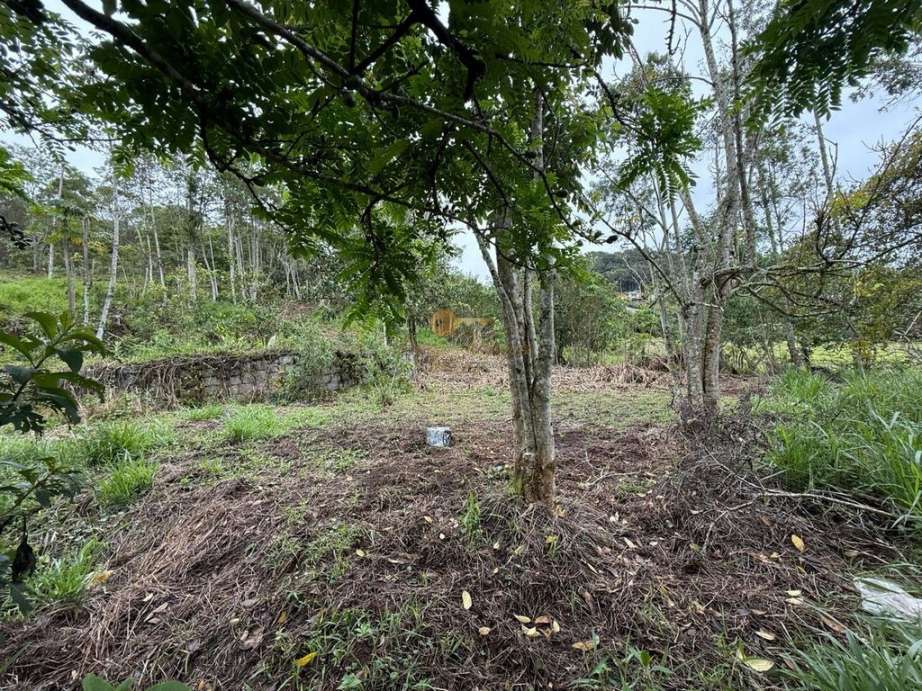 Terreno Residencial à venda em Vargem Grande, Teresópolis - RJ - Foto 8