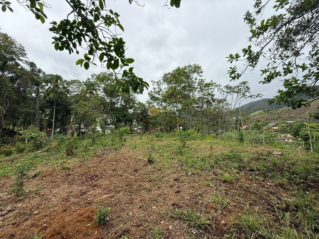 Terreno Residencial à venda em Vargem Grande, Teresópolis - RJ - Foto 10