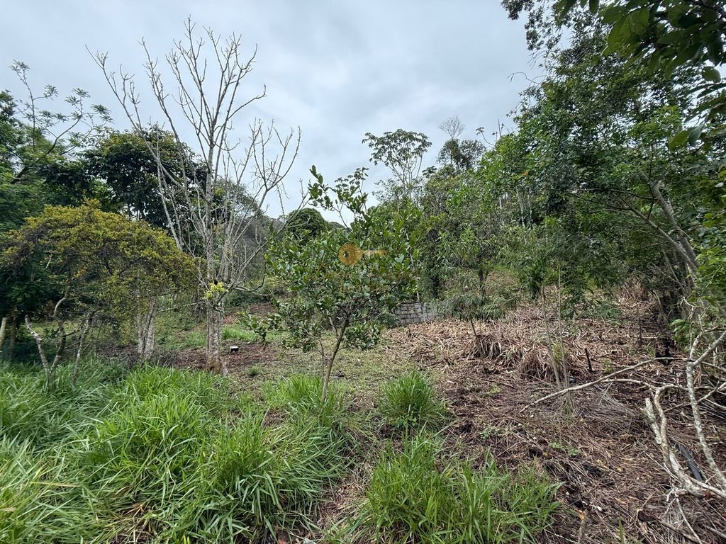 Terreno Residencial à venda em Vargem Grande, Teresópolis - RJ - Foto 11