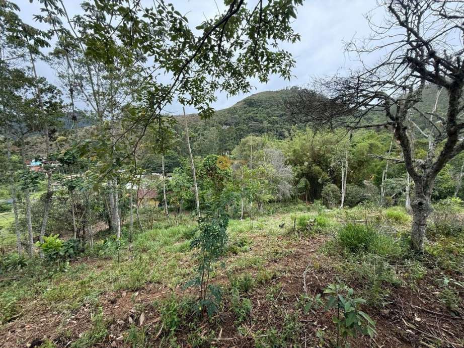 Terreno Residencial à venda em Vargem Grande, Teresópolis - RJ - Foto 12