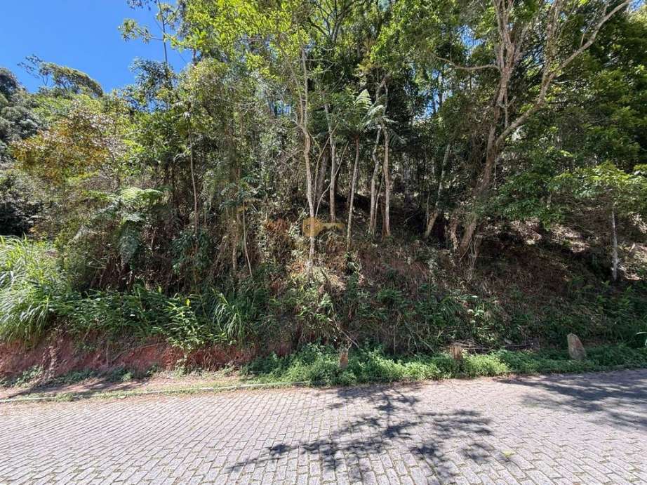 Terreno Residencial à venda em Várzea, Teresópolis - RJ - Foto 2