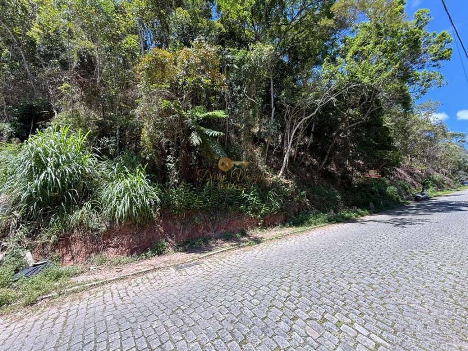 Terreno Residencial à venda em Várzea, Teresópolis - RJ - Foto 4