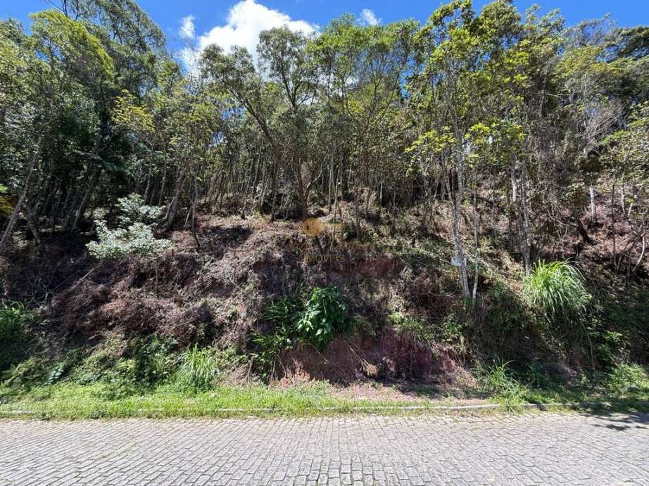 Terreno Residencial à venda em Várzea, Teresópolis - RJ - Foto 6