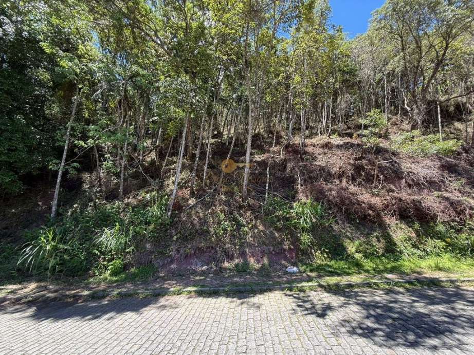 Terreno Residencial à venda em Várzea, Teresópolis - RJ - Foto 8