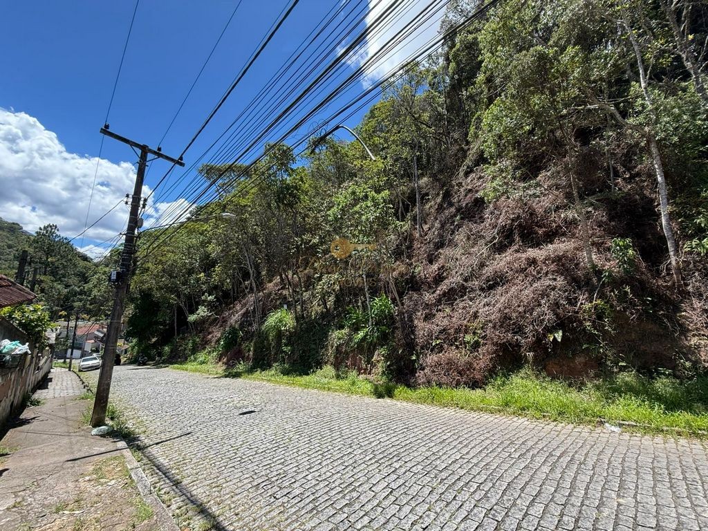 Terreno Residencial à venda em Várzea, Teresópolis - RJ - Foto 10