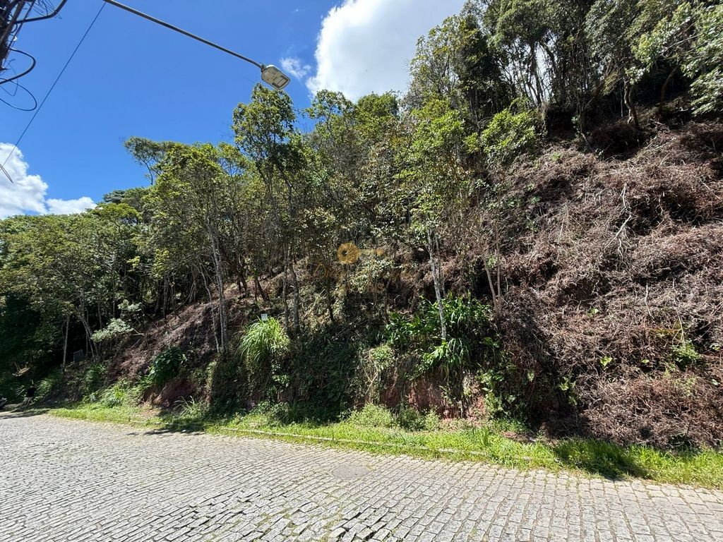 Terreno Residencial à venda em Várzea, Teresópolis - RJ - Foto 12