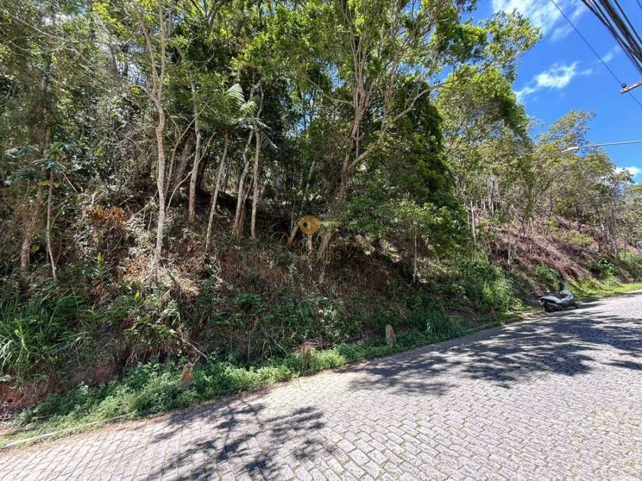 Terreno Residencial à venda em Várzea, Teresópolis - RJ - Foto 14