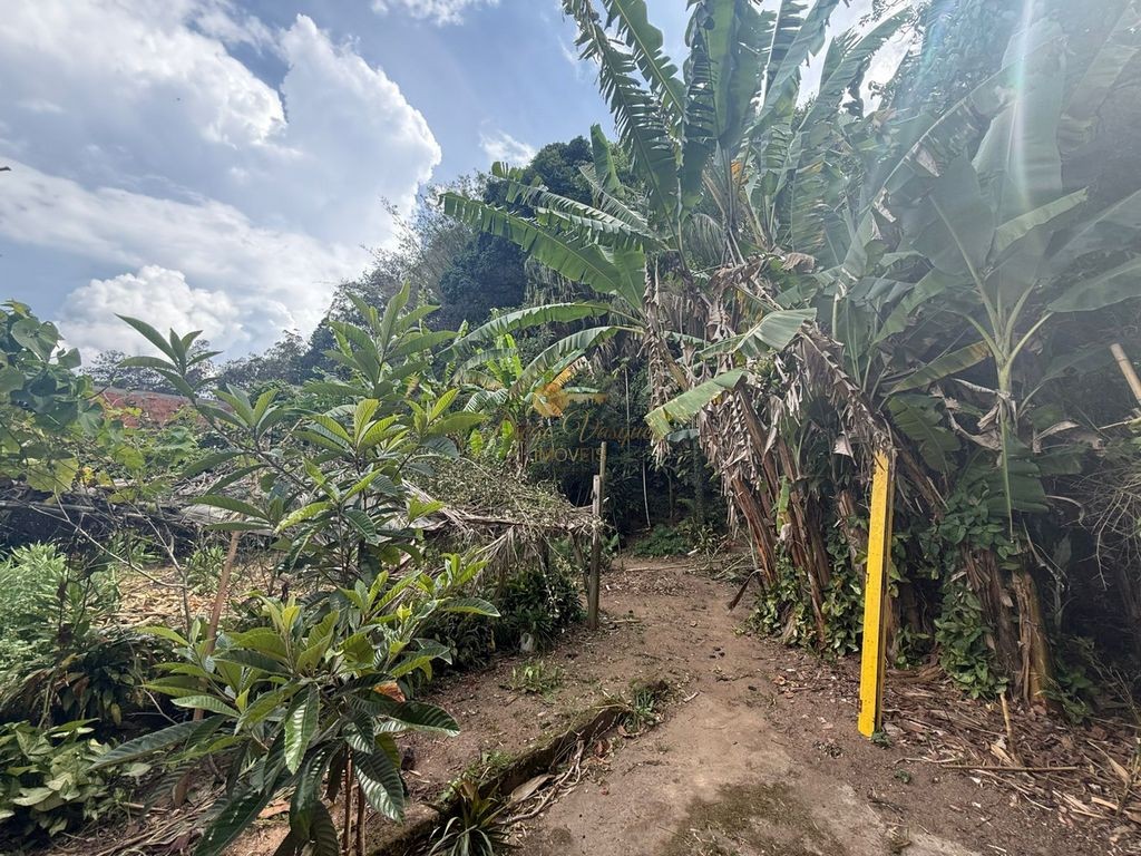 Casa à venda em Vargem Grande, Teresópolis - RJ - Foto 4
