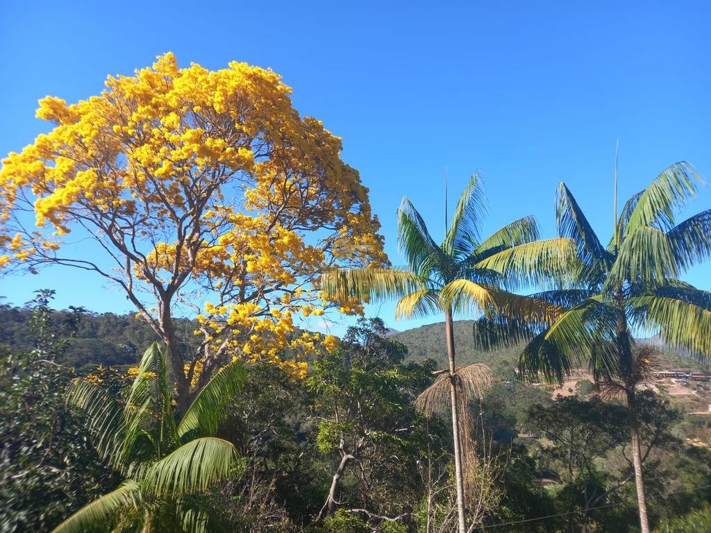 Outros à venda em Posse, Petrópolis - RJ - Foto 14