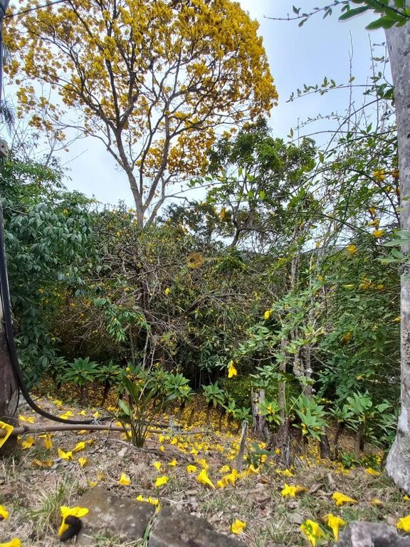 Outros à venda em Posse, Petrópolis - RJ - Foto 17