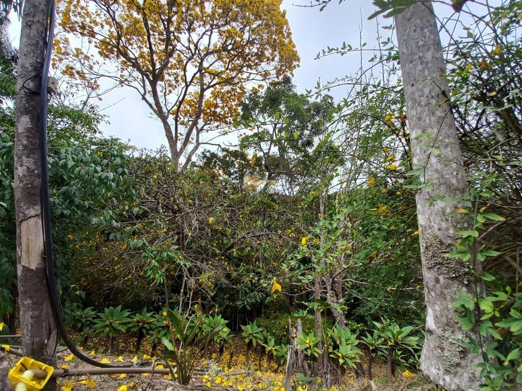 Outros à venda em Posse, Petrópolis - RJ - Foto 18