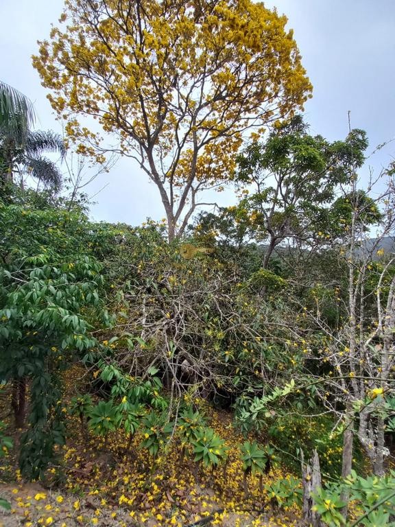 Outros à venda em Posse, Petrópolis - RJ - Foto 19