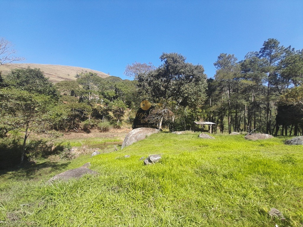 Fazenda, 39 hectares - Foto 10