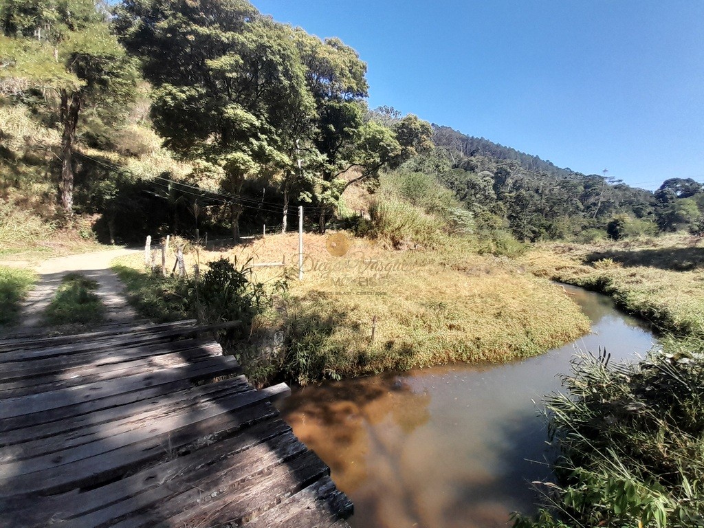 Fazenda, 39 hectares - Foto 13