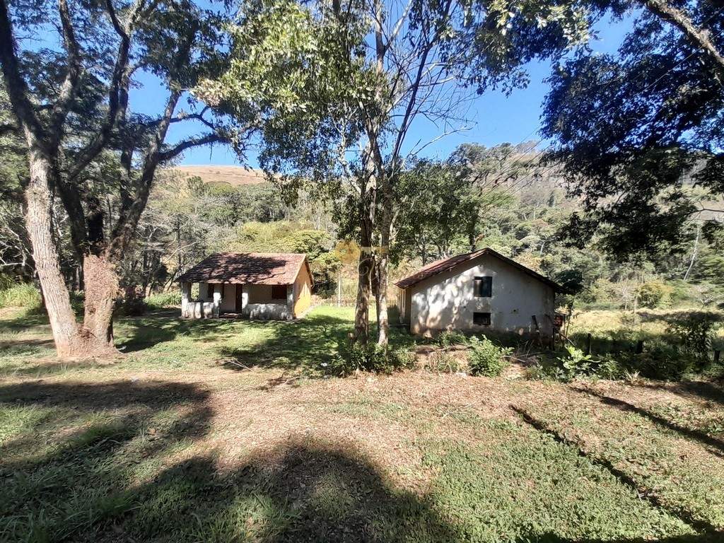 Fazenda, 39 hectares - Foto 11