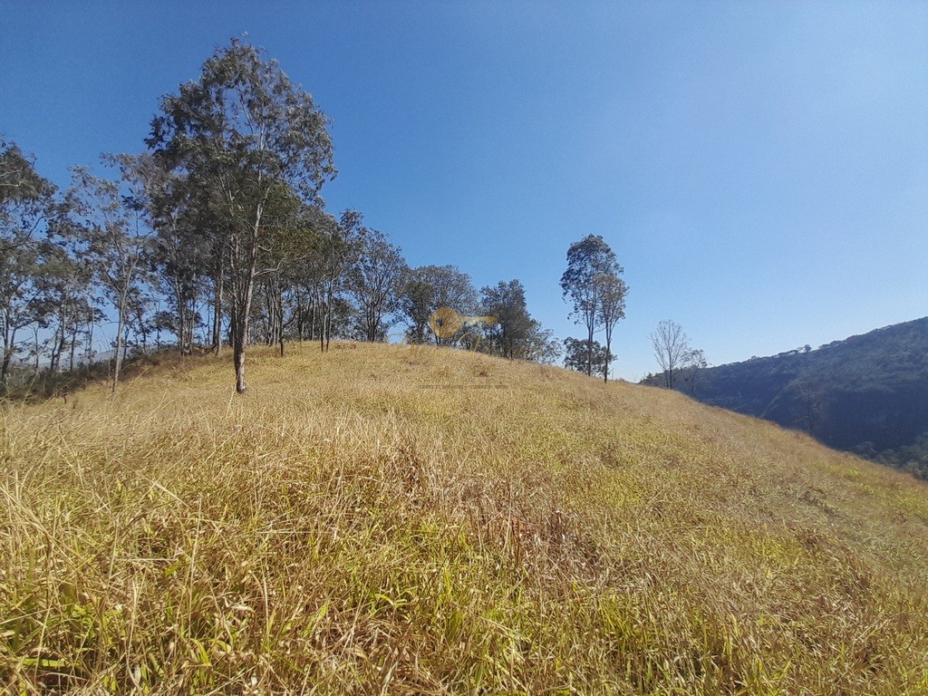 Fazenda, 39 hectares - Foto 21