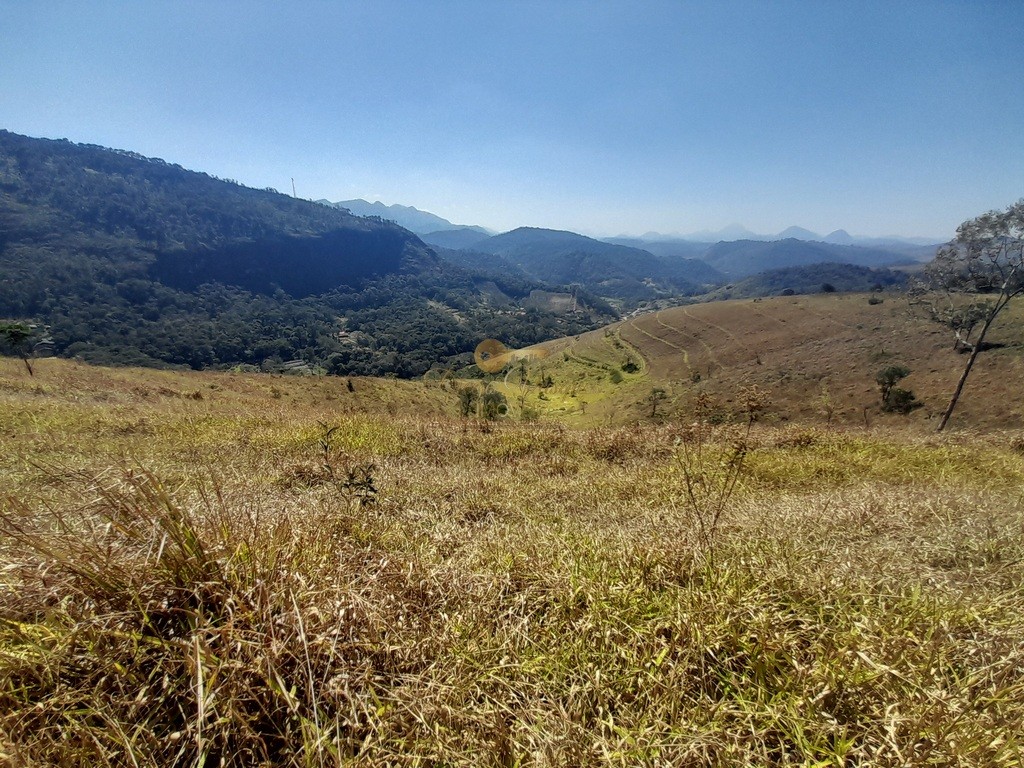 Fazenda, 39 hectares - Foto 20