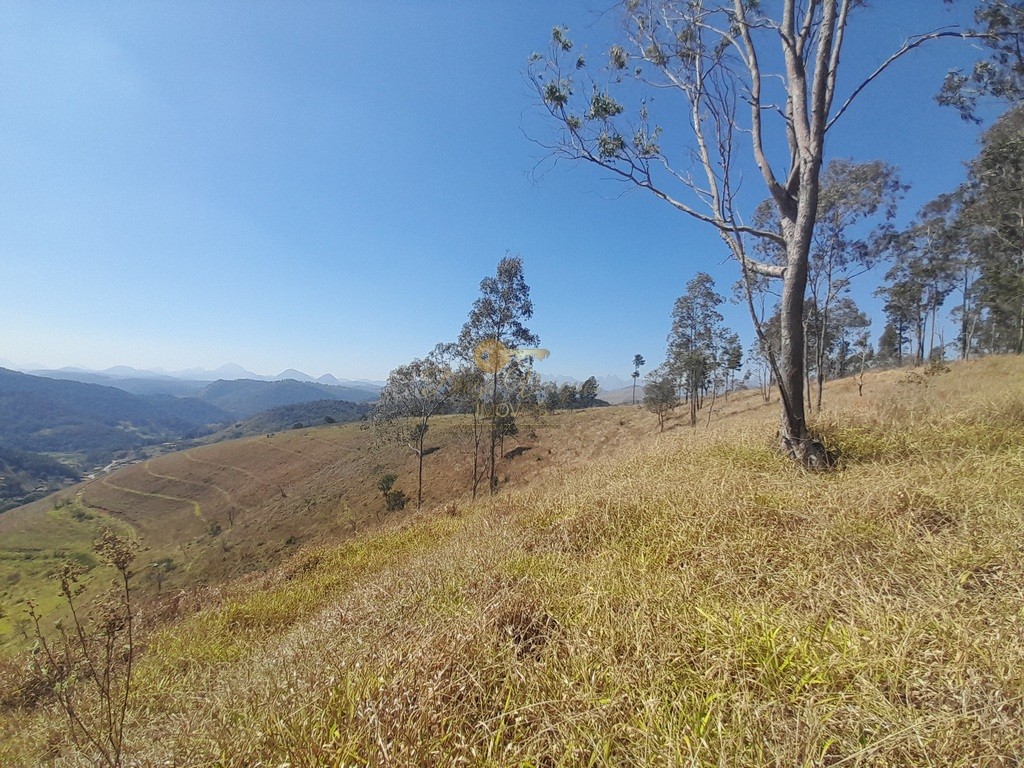 Fazenda, 39 hectares - Foto 19