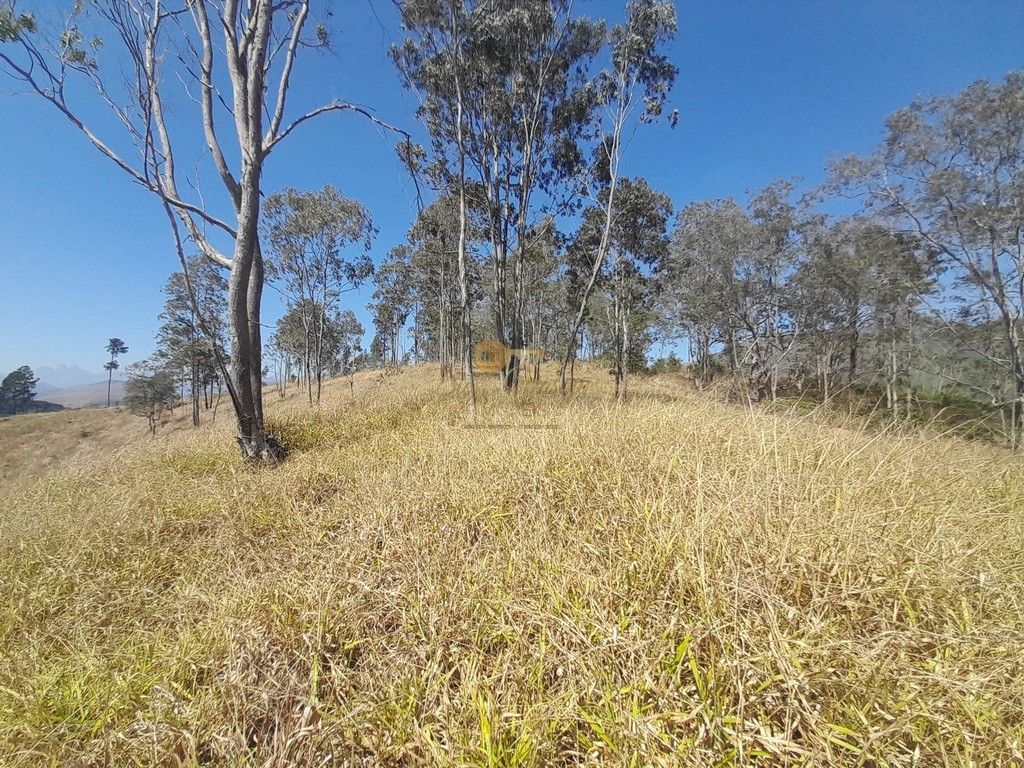 Fazenda, 39 hectares - Foto 22