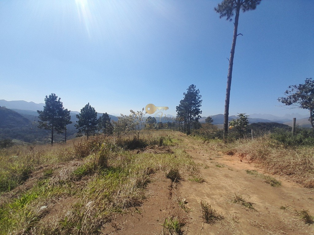 Fazenda, 39 hectares - Foto 26