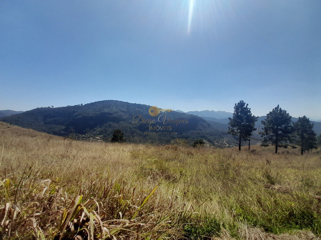 Fazenda, 39 hectares - Foto 25