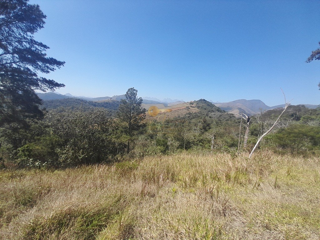 Fazenda, 39 hectares - Foto 27