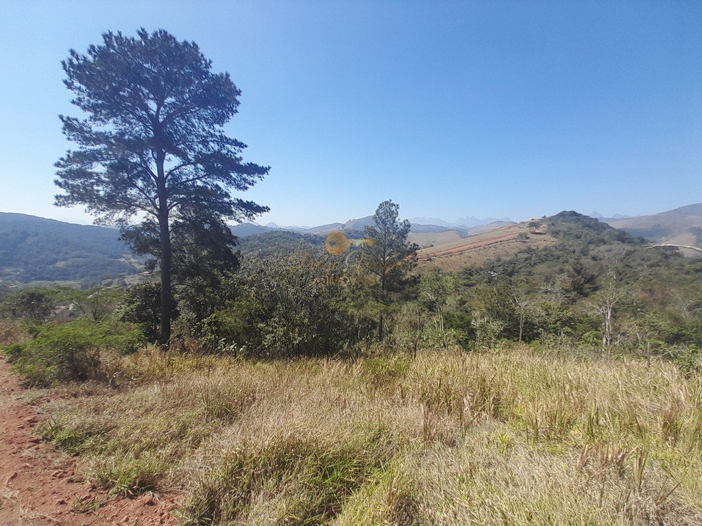 Fazenda, 39 hectares - Foto 29