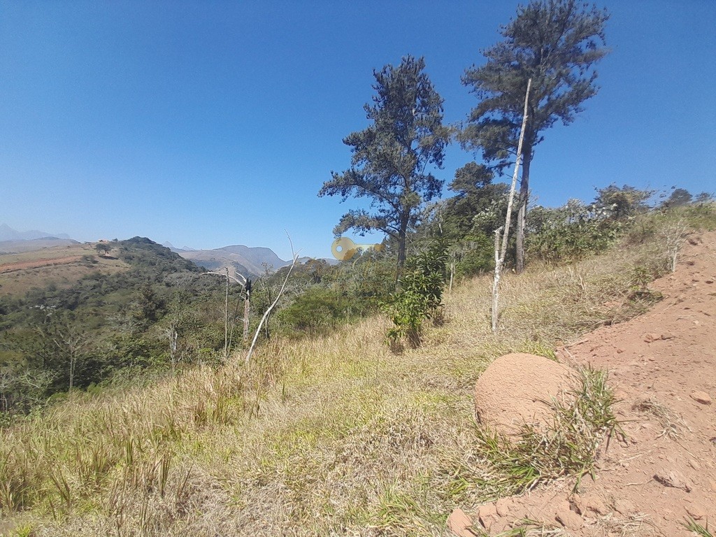 Fazenda, 39 hectares - Foto 30