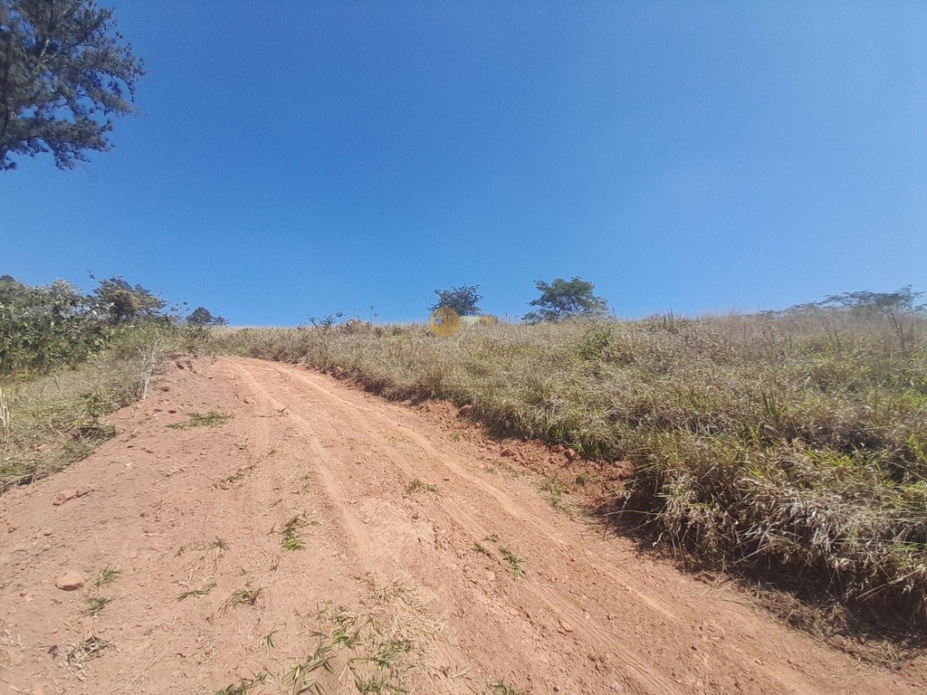 Fazenda, 39 hectares - Foto 31