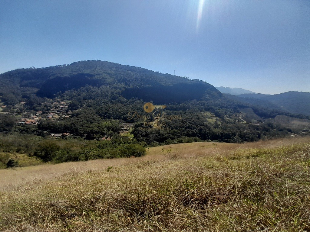 Fazenda, 39 hectares - Foto 34