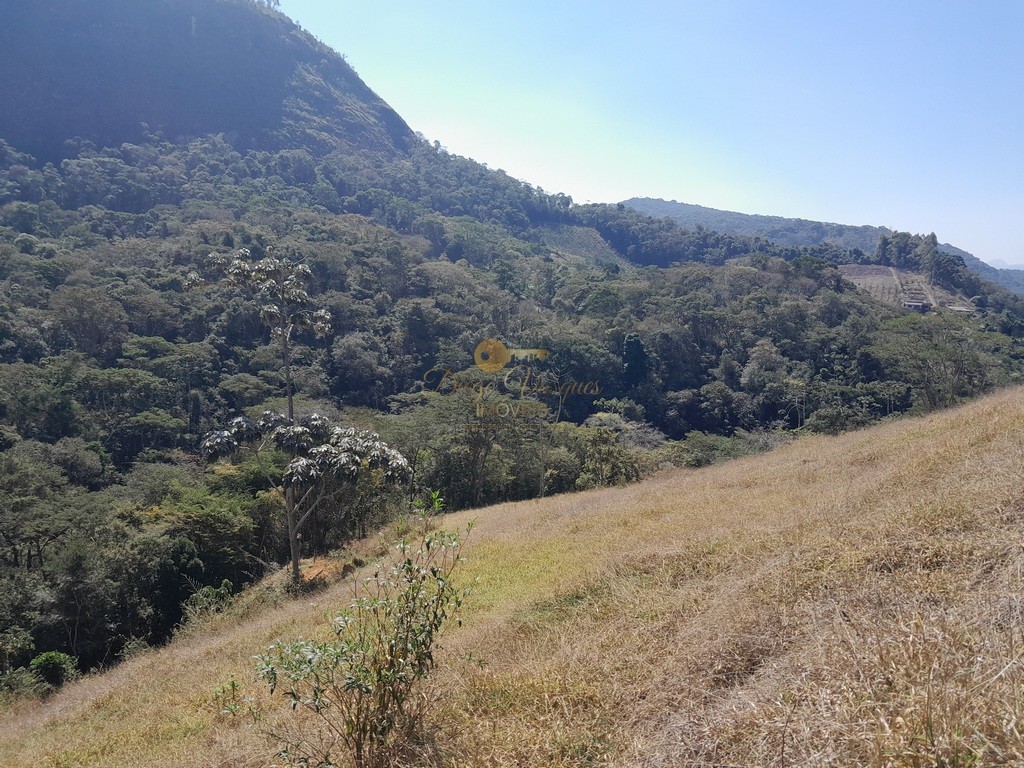 Fazenda, 39 hectares - Foto 40