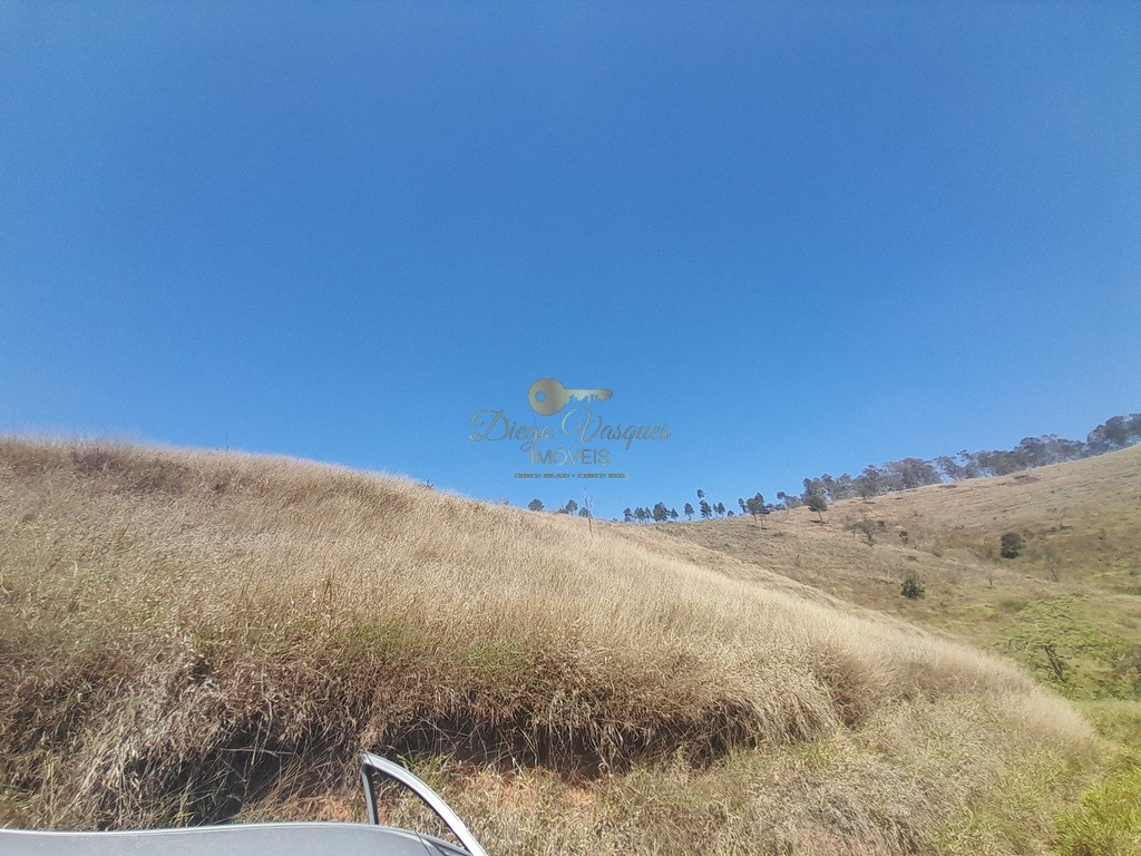 Fazenda, 39 hectares - Foto 39