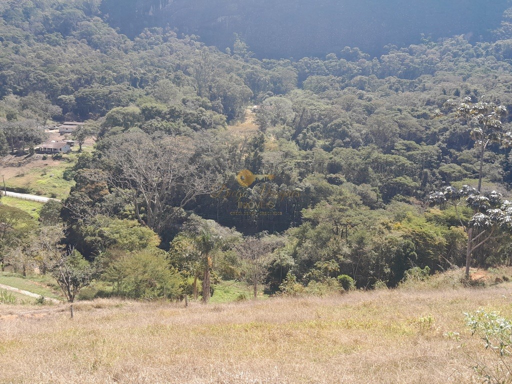 Fazenda, 39 hectares - Foto 41