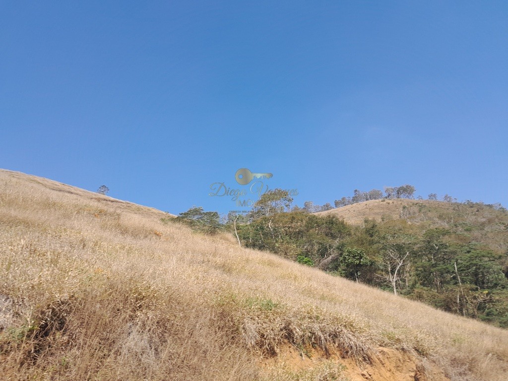 Fazenda, 39 hectares - Foto 44