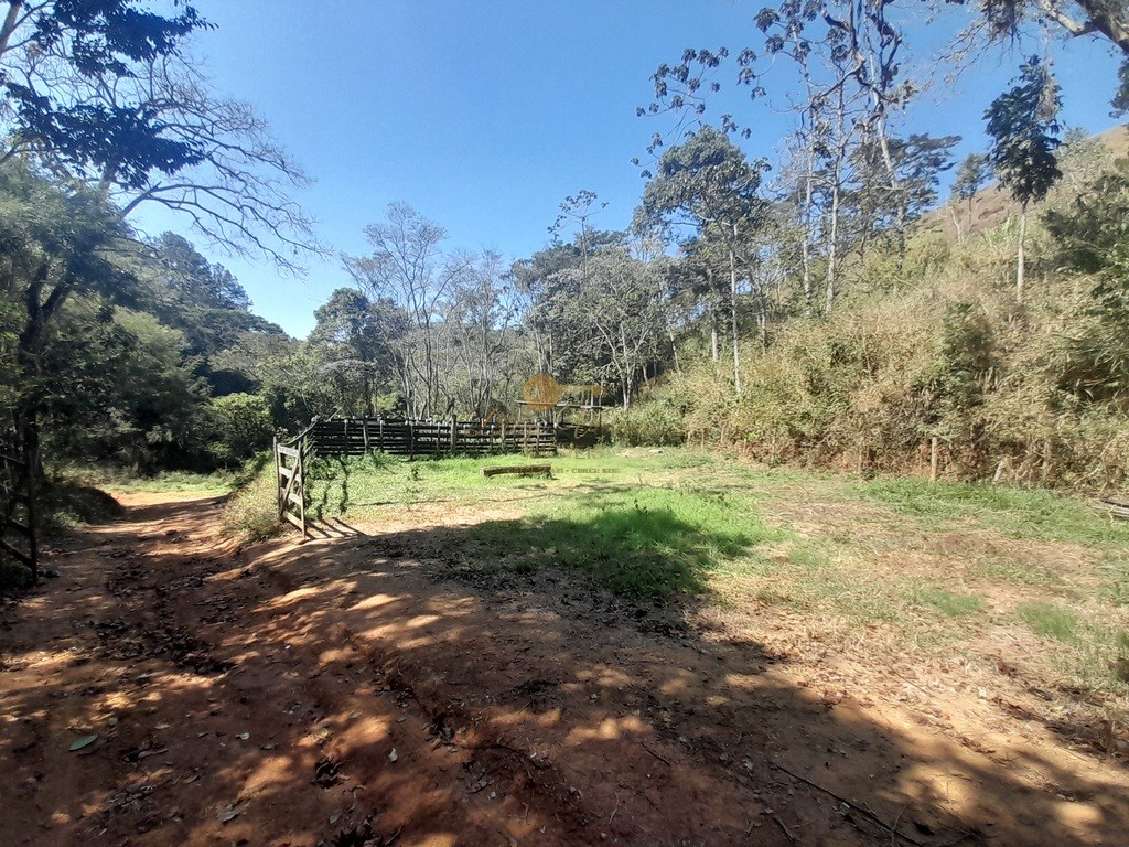 Fazenda, 39 hectares - Foto 46