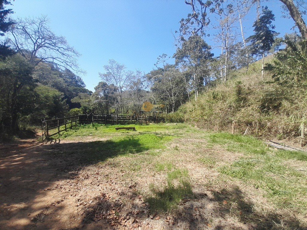 Fazenda, 39 hectares - Foto 47