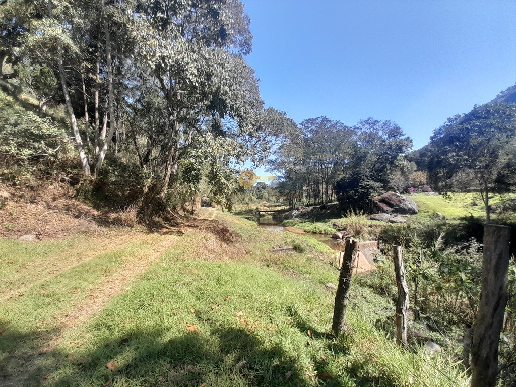 Fazenda, 39 hectares - Foto 49