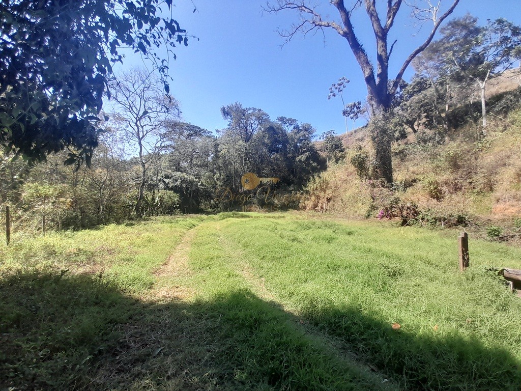 Fazenda, 39 hectares - Foto 48