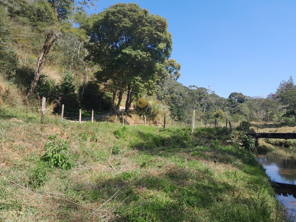 Fazenda, 39 hectares - Foto 51