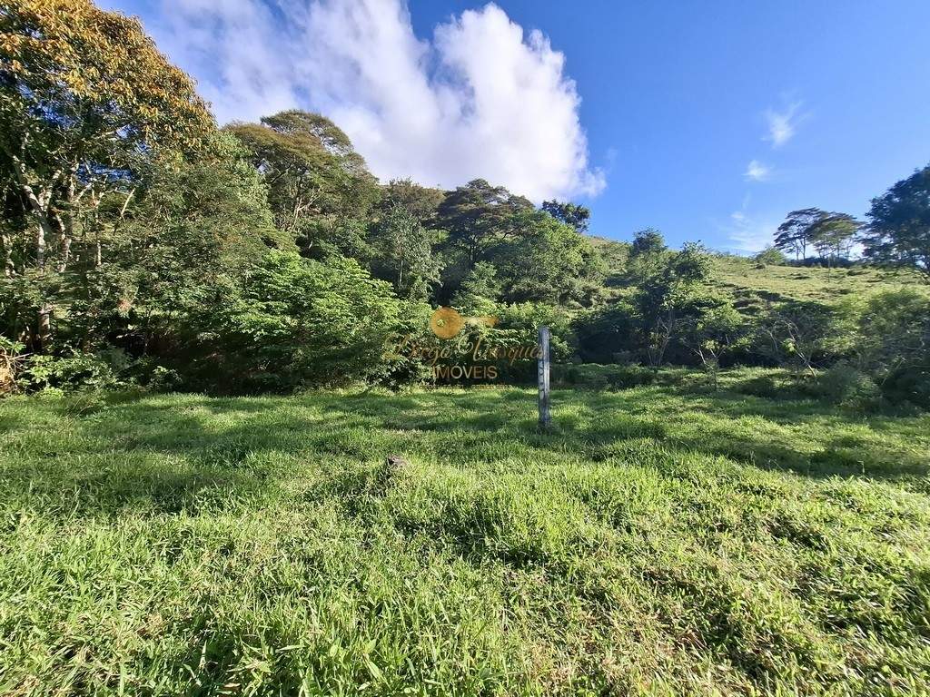 Fazenda, 39 hectares - Foto 56