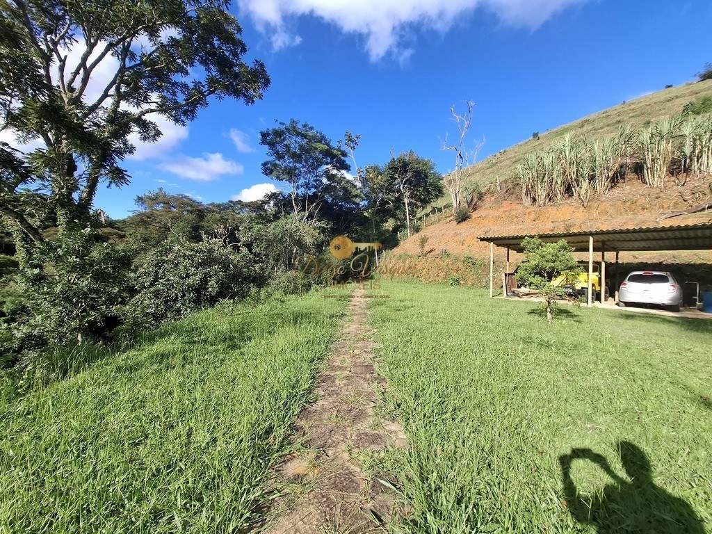 Fazenda, 39 hectares - Foto 55