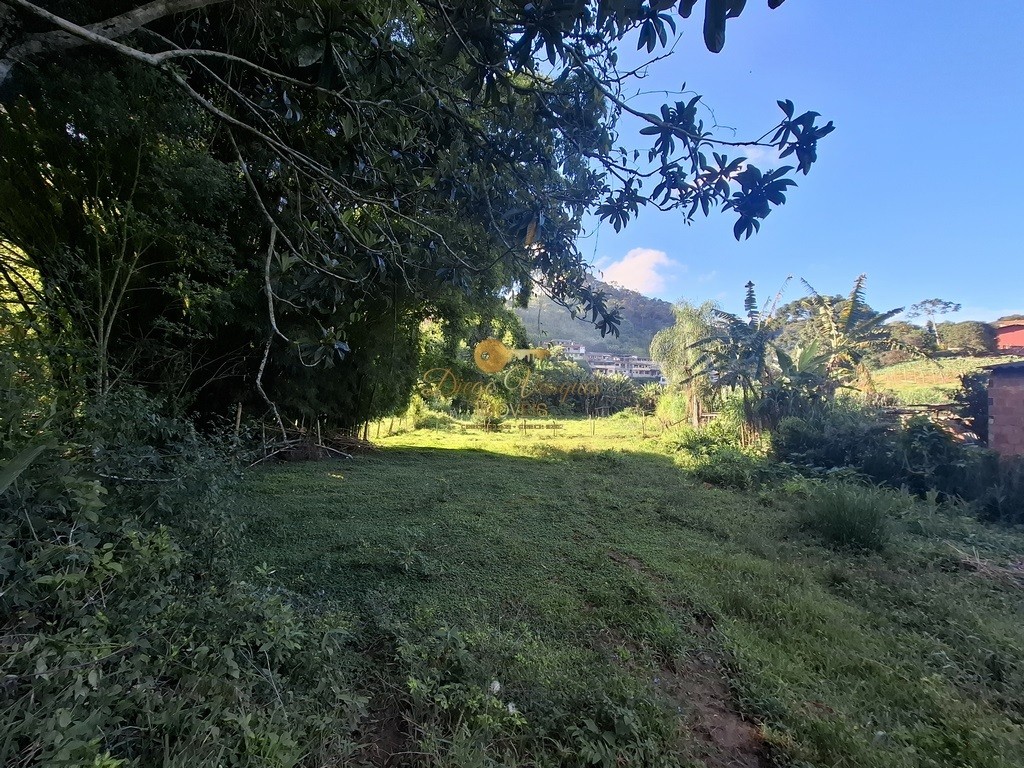 Fazenda, 39 hectares - Foto 57